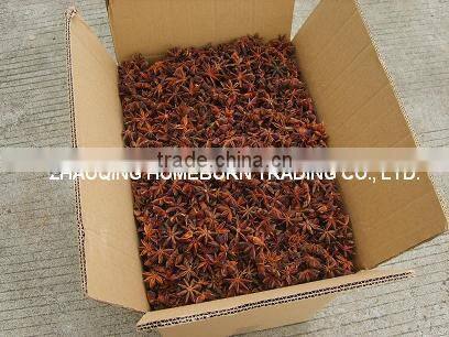 Star aniseed autumm crop Chinese