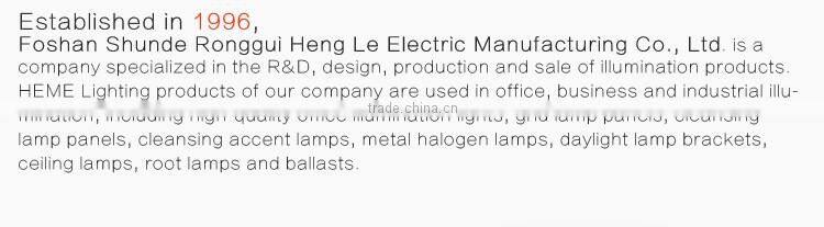 prismatic lighting fixture