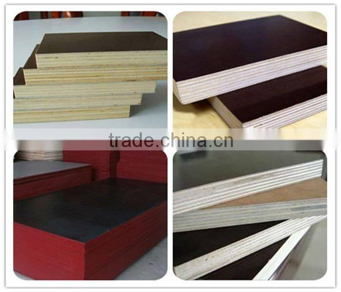 Oak/Okoume/Bintangor/Poplar Face Falcata Core Blockboard