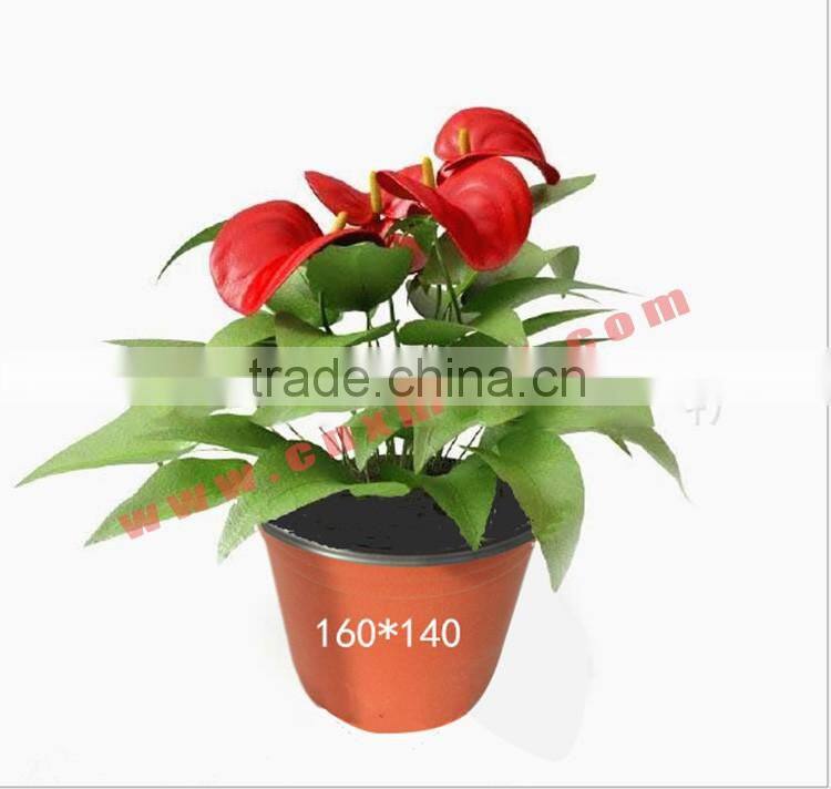 plastic greehouse soft flower pot