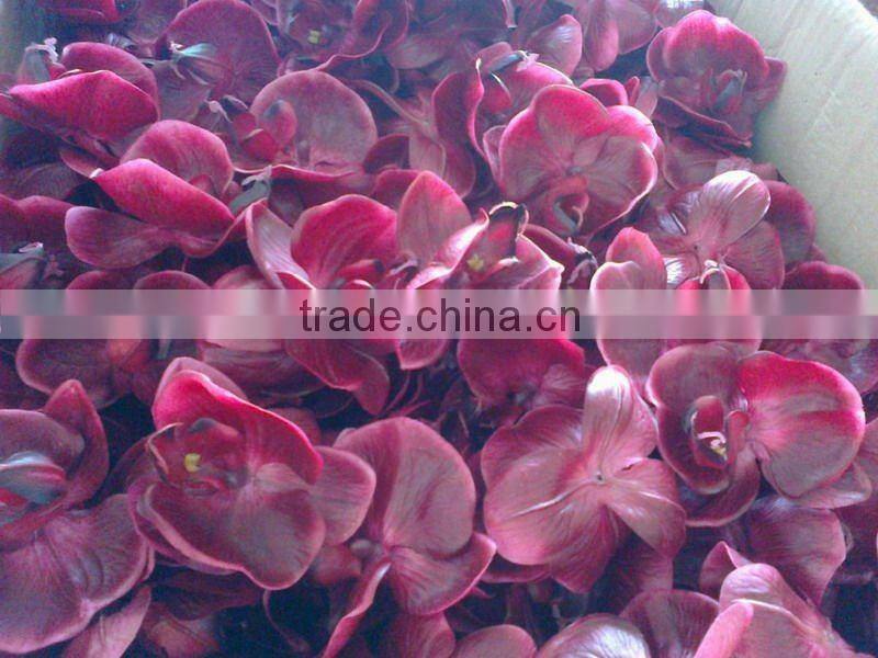 single real touch silk phalaenopsis