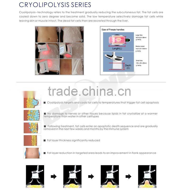 China Beauty Spa Use Portable Cryolipolysis Machine For Home Use