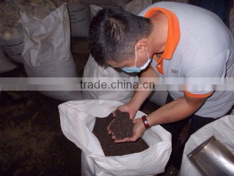 Competitive Price White Pepper Seeds 630G/L (Whatsaap/Viber: 0084965152844)