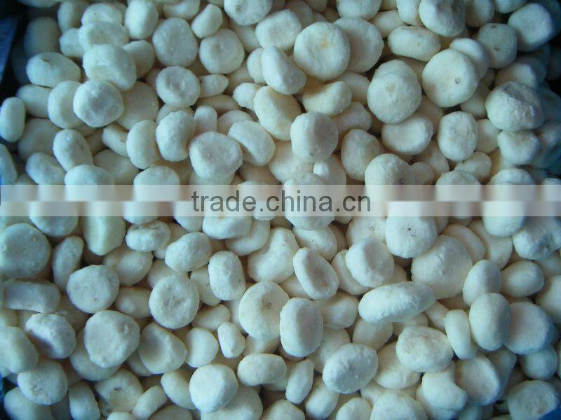 HIGH QUALITY new crop frozen water chestnuts