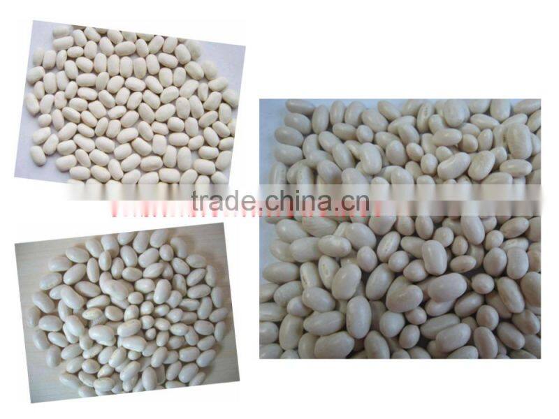High quality white kidney beans for sale at cheap price