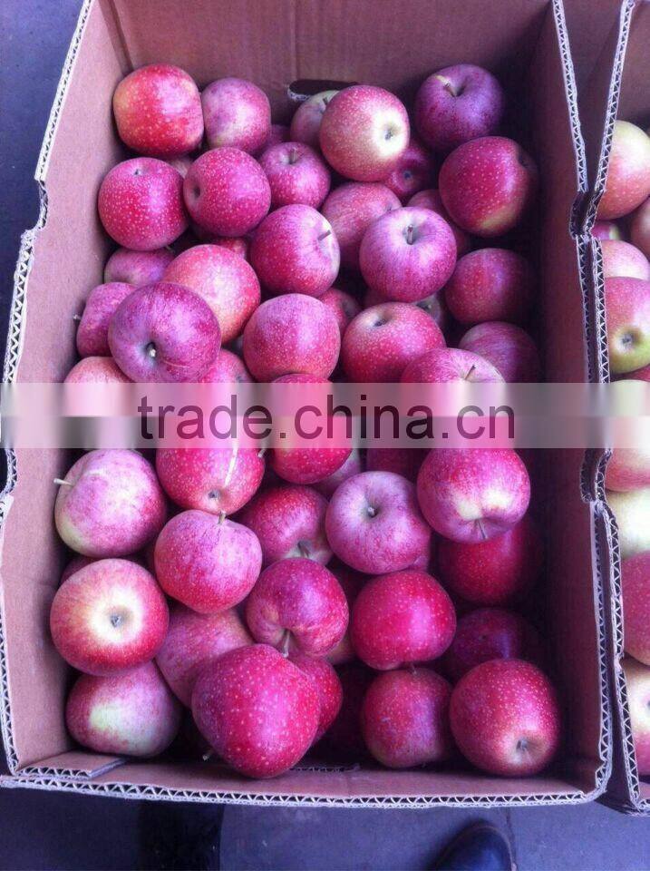unbagged qinguan Apple