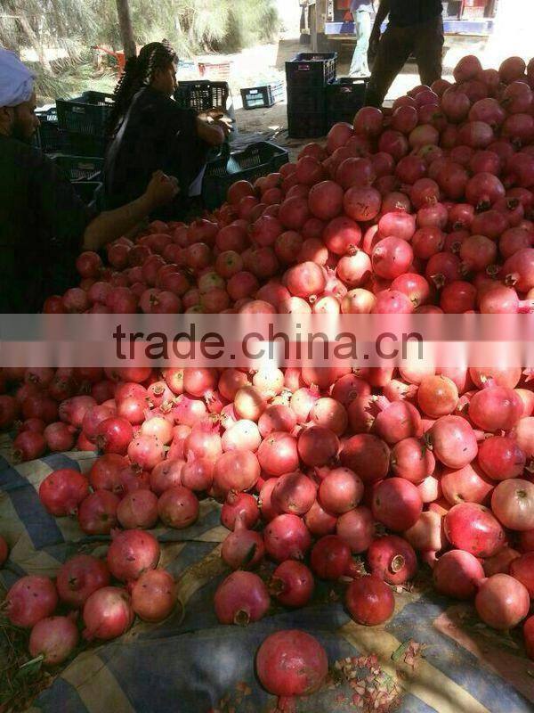Fresh Pomegranate For Sale