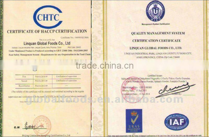 Dried Ginger Dehydrated Ginger dry Ginger Flakes