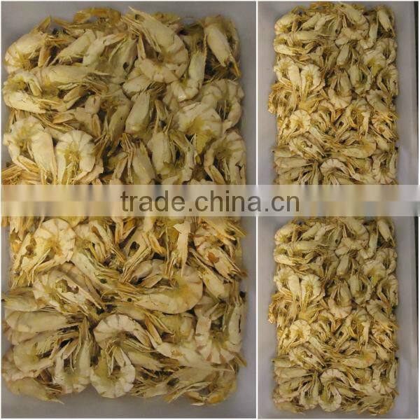 dried tiger shrimp in catch season