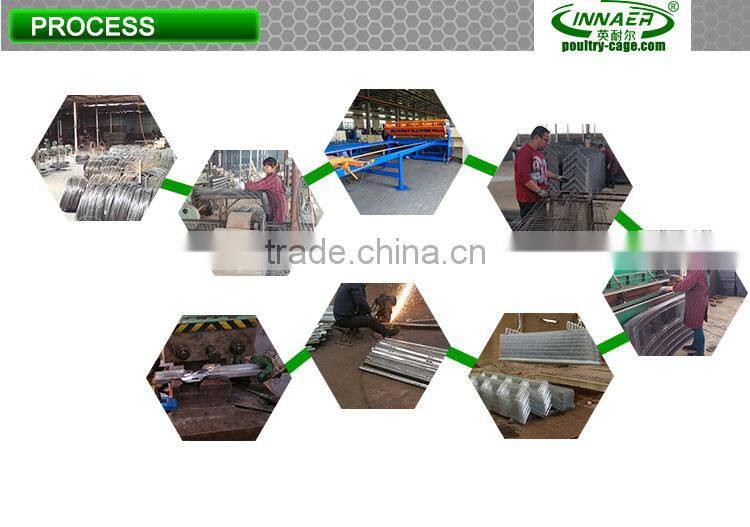 Animal & Poultry Husbandry Equipment layer chicken cages with auto water system