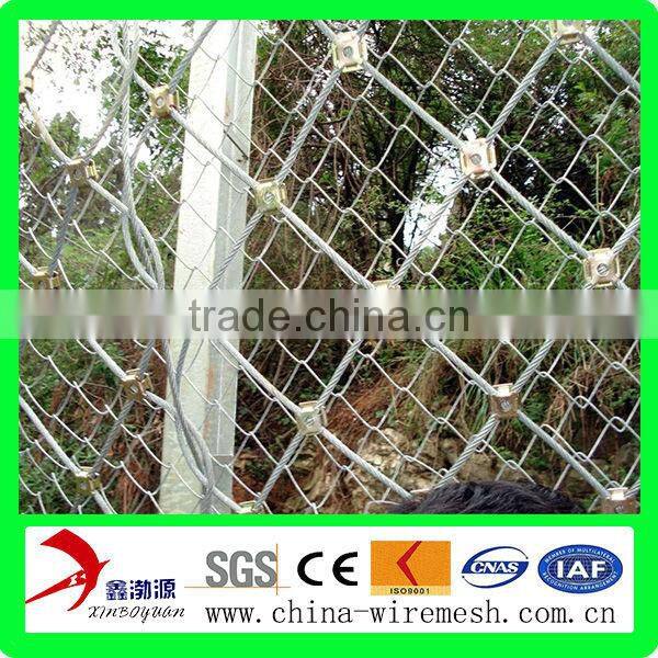 anping china supplier flexible ring network/ passive slope netting/flexible metal mesh netting