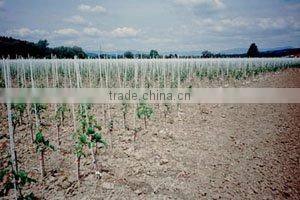 1mm to 100mm high-strength FRP rod, FRP stakes, FRP post