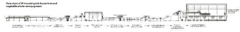 SP-I Vegetable & Fruits Processing Line for Quick Freezing