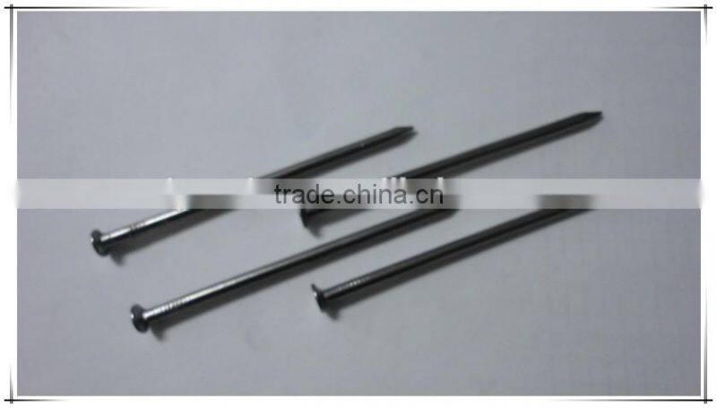 Common iron nail metal nails best price from china manufacturer