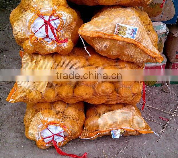 High quality pp leno mesh bag for potatoes&hebei plastic net bags for wholesale