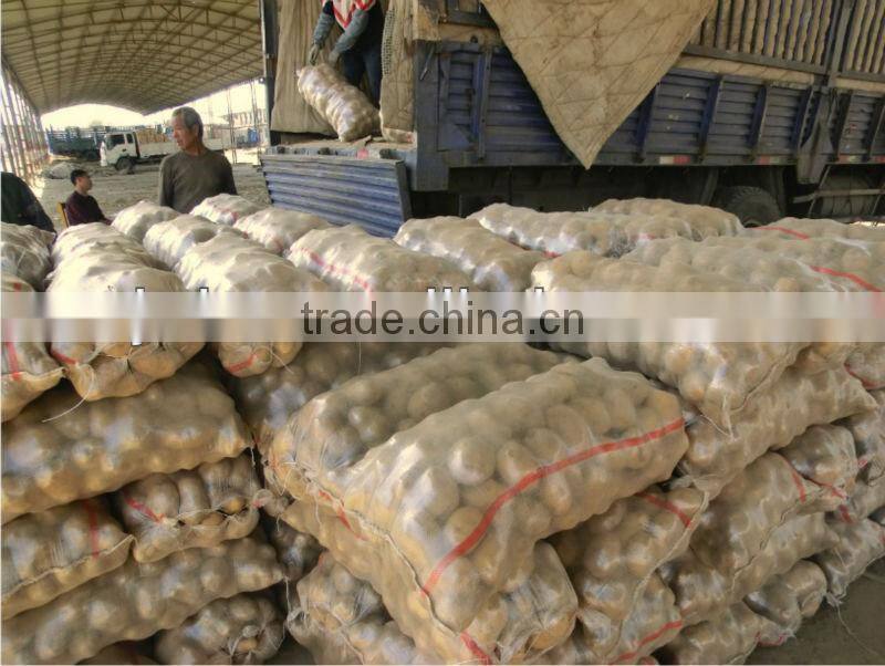 pp transparent woven bag in China