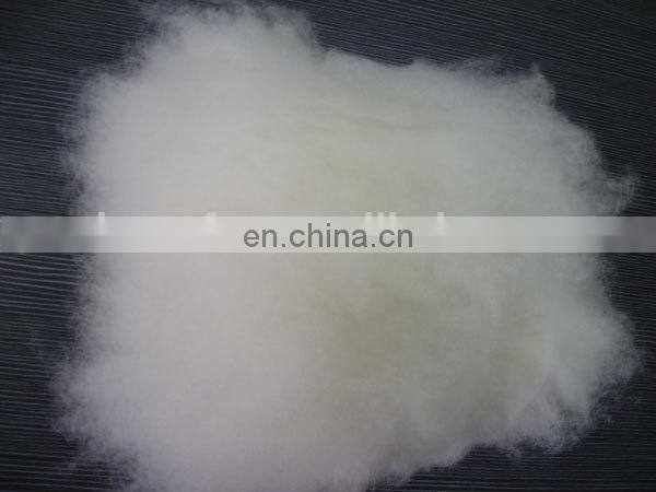 Inner Mongolian dehaired and carded natural white cashmere fiber 15.5mic 36-38mm