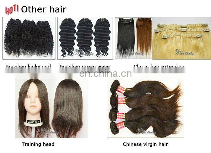 Hot Beauty 24 inch Clip in Human Hair Extensions
