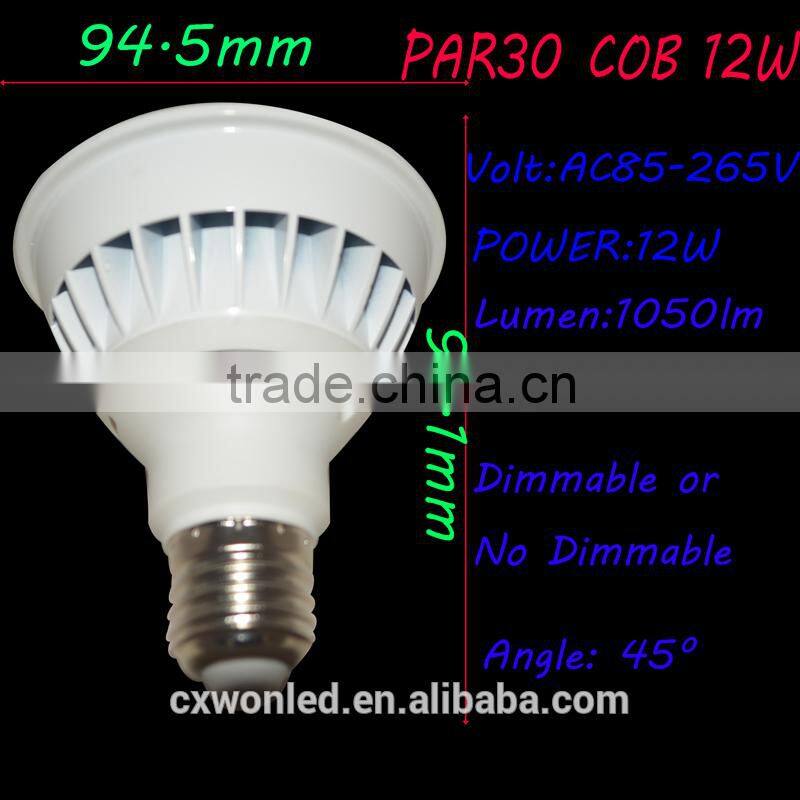 Cheap Price E27 LED PAR 30, White 12W PAR 30 LED, E27 High Power PAR 30