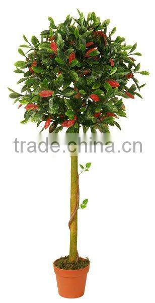 Artificial ficus tree with real trunk
