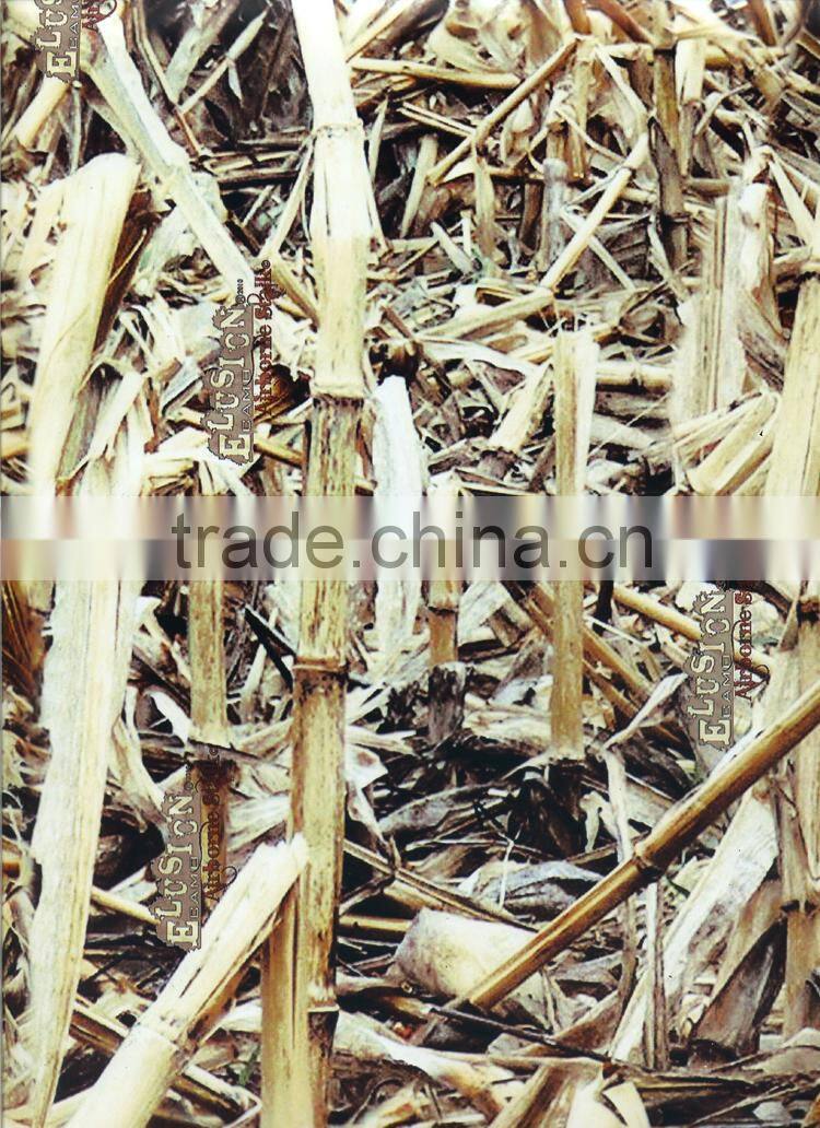 New Arrival DAZZLE NO.DGMA132-1 Leaves Camuoflage Hydrographic film Hydrographics Water Transfer Printing Film