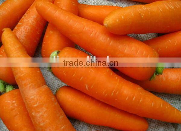 Sweet potato starch making line cleaning machine/potato peeling machine