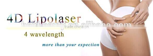 New products looking for distributor! 528 Diodes lipoLaser / Lipo Laser Machine/ Lipo Laser Slimming Machine