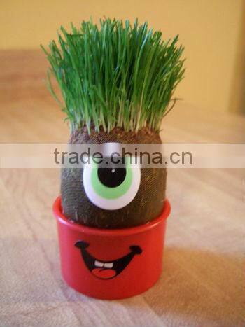 DIY grass head dolls plants for birthday gift