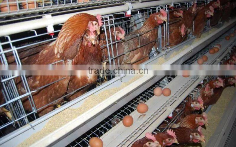 popular selling layer cage chicken cage layer cages for sale