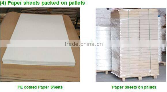 cutting paper cup material in sheet