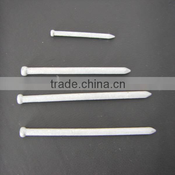 Finishing nails/carpentry nails tianjin factory