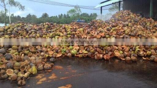 Coconut Fiber 2016 in Vietnam (qq : 2598494113)