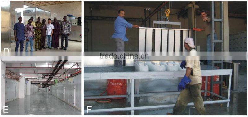 Small Capacity Block Ice Machine 1ton/day