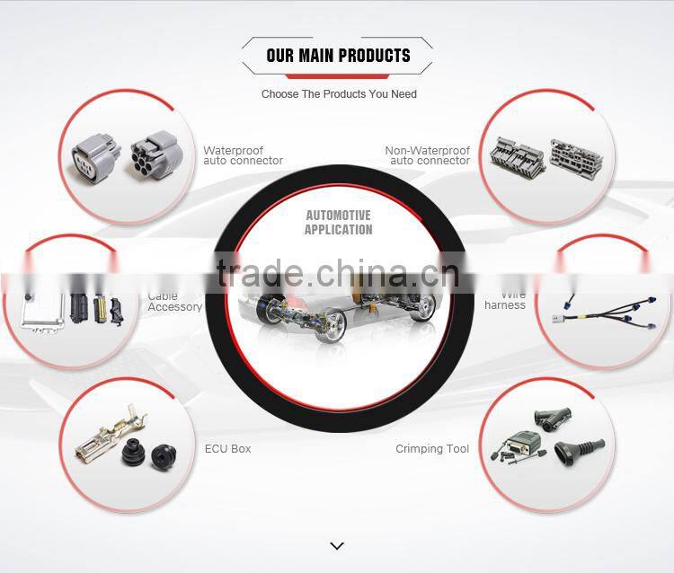 Free sample 6 way female tyco/amp Accelerator pedal connector for FORD and GM 1-1419168-2