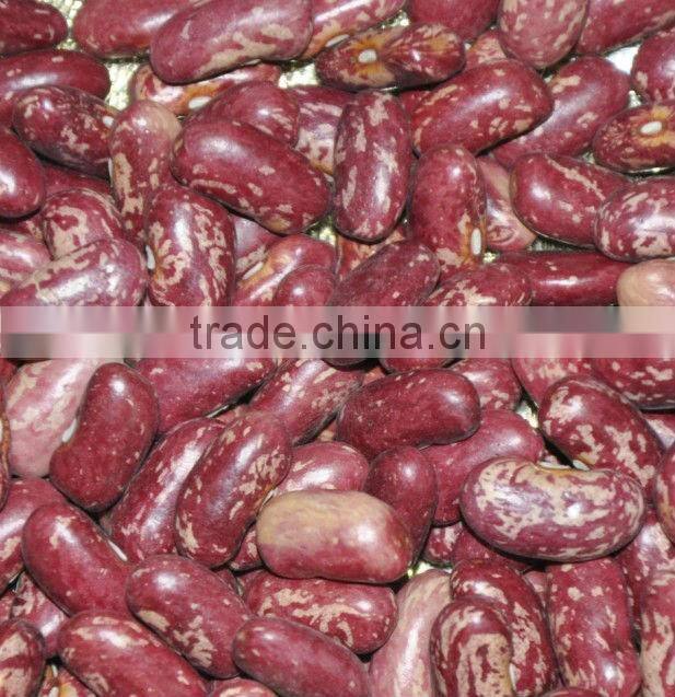 Wholesale Sunflower Seeds