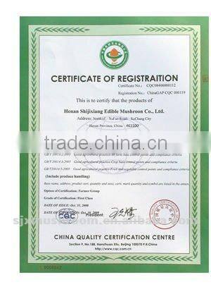 Best-selling smooth shiitake mushroom