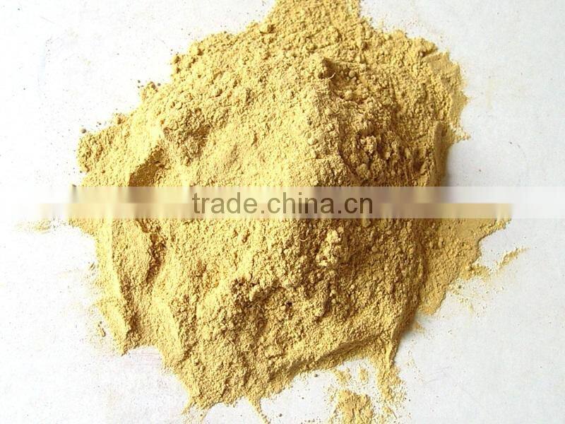 Dehydrated Ginger Powder