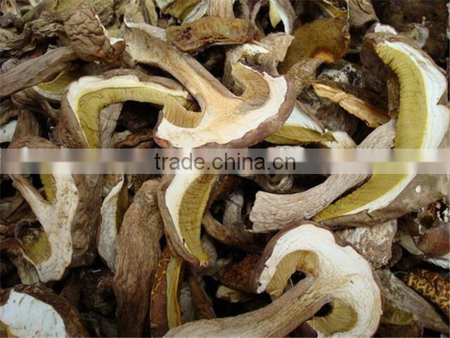 Reliable supplier Boletus Edulis