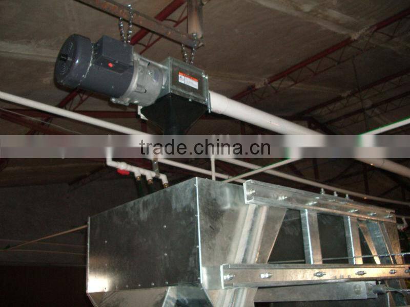 9WCD 4 Tiers A-Type Hot Galvanized Hot Sale Chicken Coop