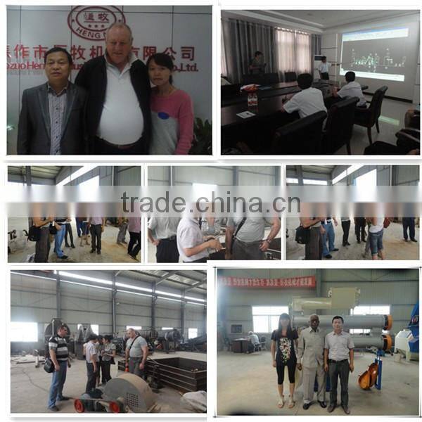 Big profile labor saving floating catfish feed machinery With CE approved