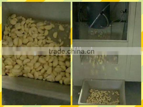 Dry Type Garlic Peeling Machine/garlic Skin Remove Machine SMS:086-15238398301