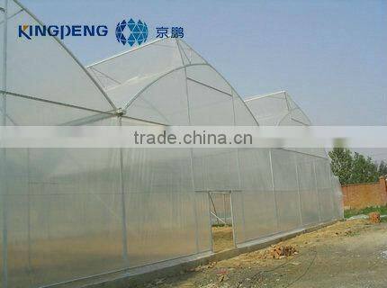 Greenhouses For Vegetables