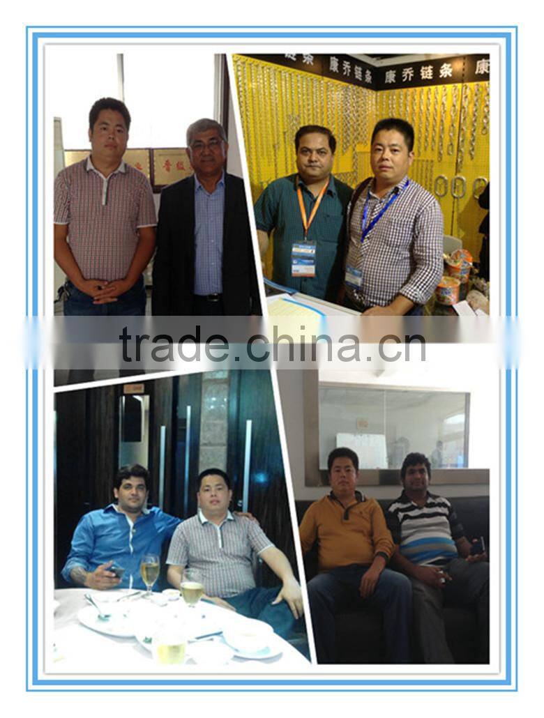 Welded Chain Structure dog snake chain