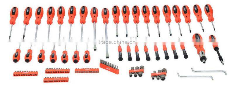 100PCS Screwdriver Set. Screwdriver Precision Slotted Tool Kit Set.T0075