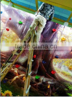 2013 NEW ARRIVAL!!!HIGH QUALITY KIDS INDOOR PLAYGROUND EQUIPMENT LT-1012A