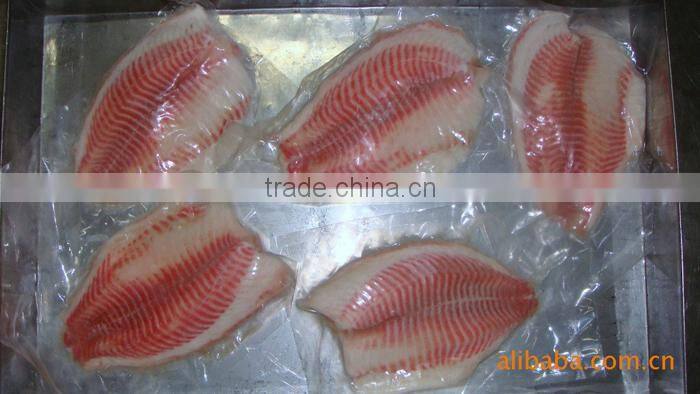 Frozen Tilapia Fillet From Zhejiang of China