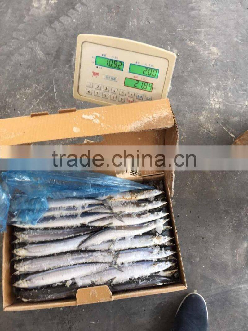 Seafood Frozen Fish Pacific Saury