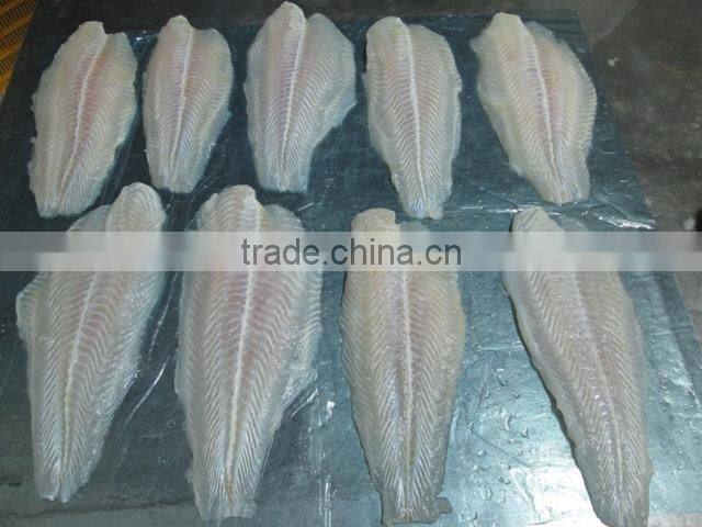 Frozen Pangasius Fillet/ Well-trimmed, Untrimmed frozen pangasius steak/ Basa Fillet/ Frozen Pangasius Fillet/ Fish Fillet