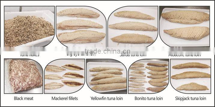 BQF Priced Fish Horse Mackerel