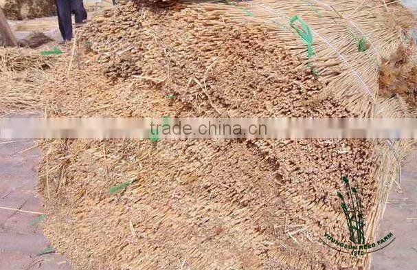thatching roof water reed